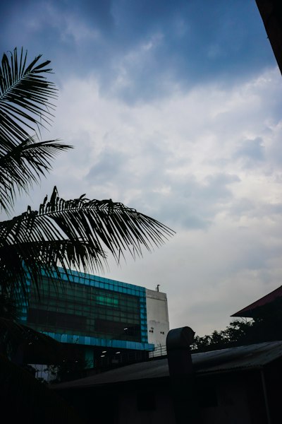 晚灯月光